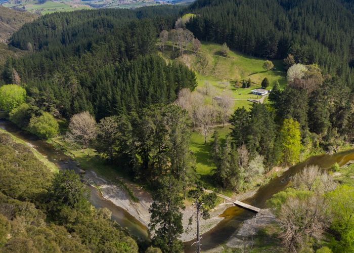  at 1238 Ellis Wallace Road, Te Pohue