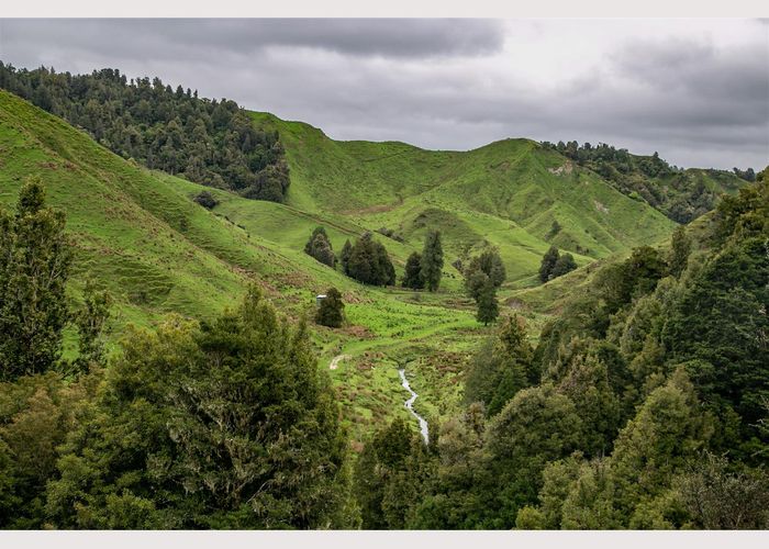  at 950 Waimate Road, WAIMATE NORTH, KERIKERI