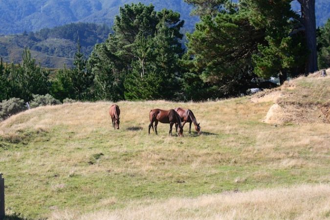 at 0 Liverton Rd, Kelson, Lower Hutt