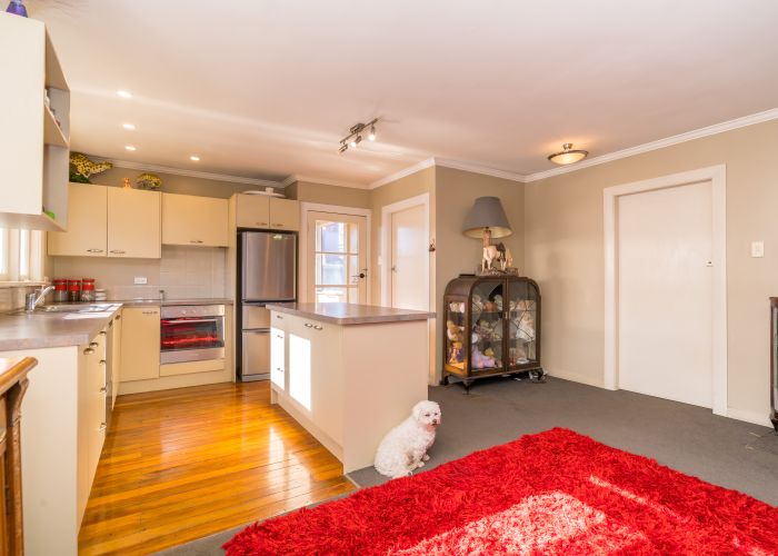  at 460 Taieri Road, Halfway Bush, Dunedin