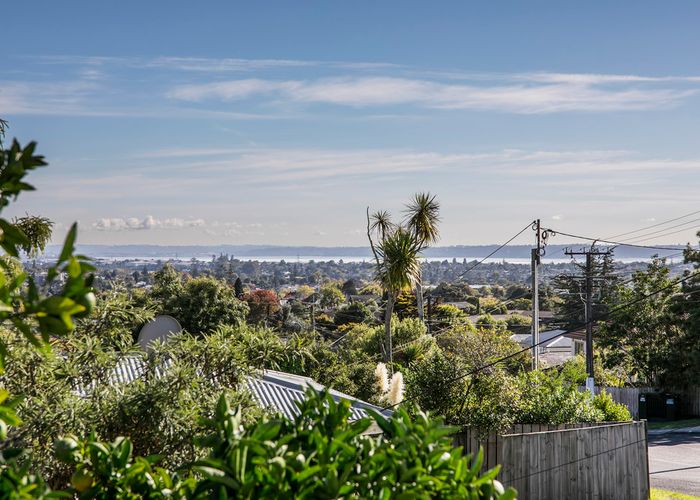 Free property data for 4 Gilliam Street, New Lynn, Auckland homes.co.nz
