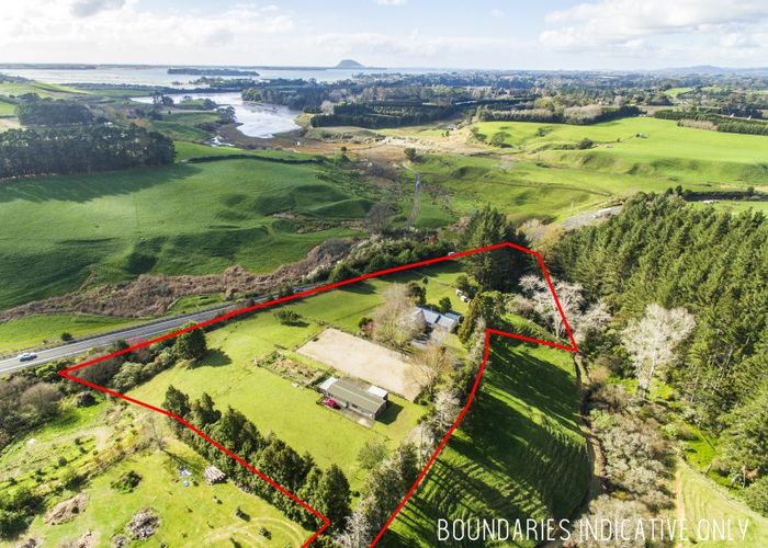  at 25B Youngson Road, Tauranga
