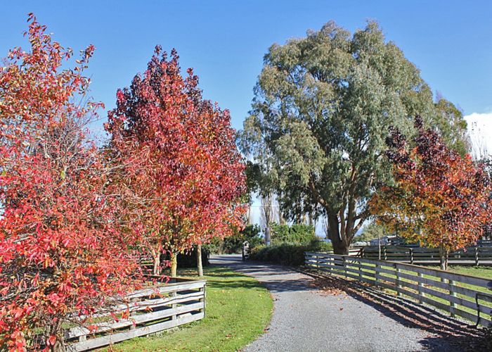  at 63 Millard Avenue, Kuripuni, Masterton
