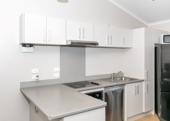  at 54C Campbell Street, Frankton, Hamilton