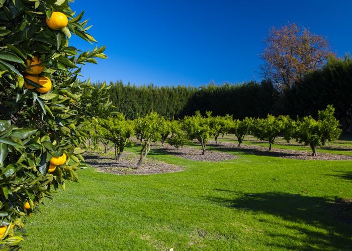  at 139 Bushmere Road, Gisborne