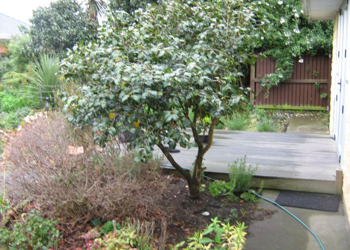  at 2/36 Blakehall Place, Spreydon, Christchurch