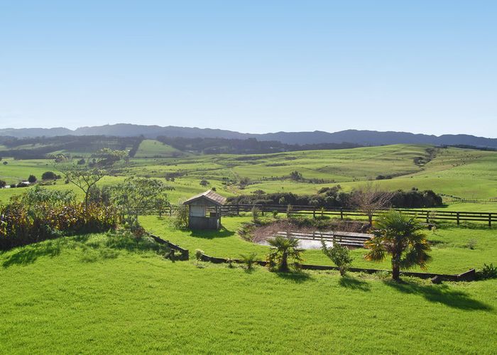  at 961 Kaiwaka-Mangawhai Road, Wellsford