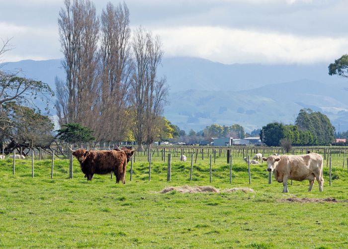  at 172 Manaia Road, Homebush, Masterton