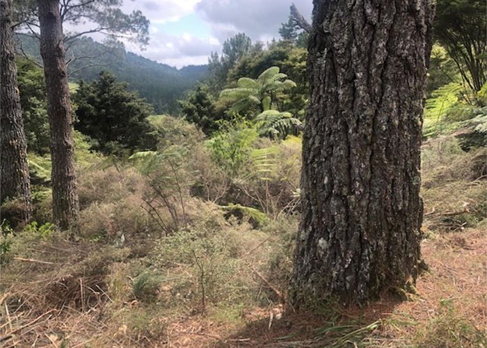  at 205 Kaimarama Road, Kaimarama, Whitianga