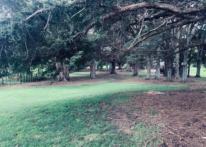  at 18 Tuakura Way, The Gardens, Auckland