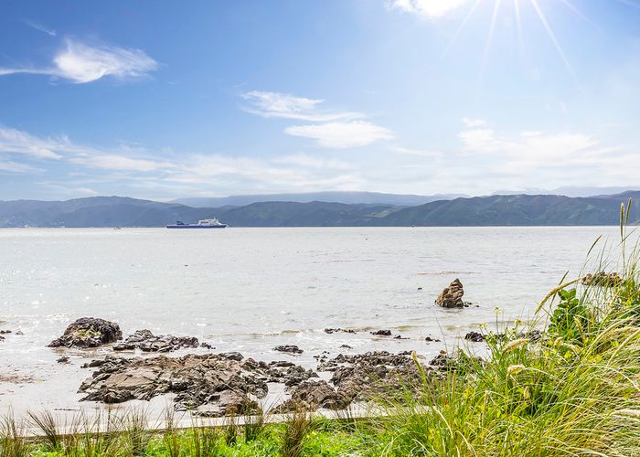  at 171 Marine Parade, Seatoun, Wellington