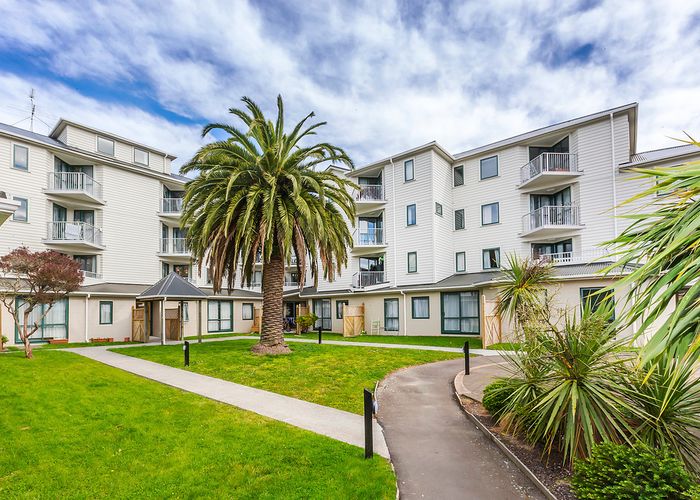  at C15/13 Palm Grove, Berhampore, Wellington