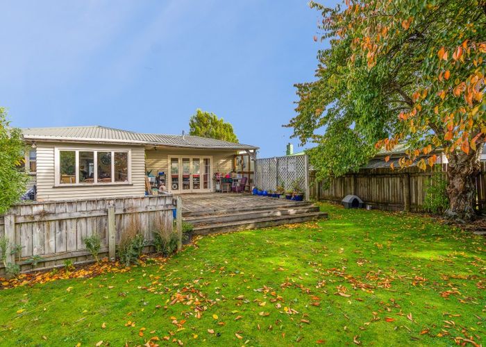  at 12 Carlisle Street, Levin