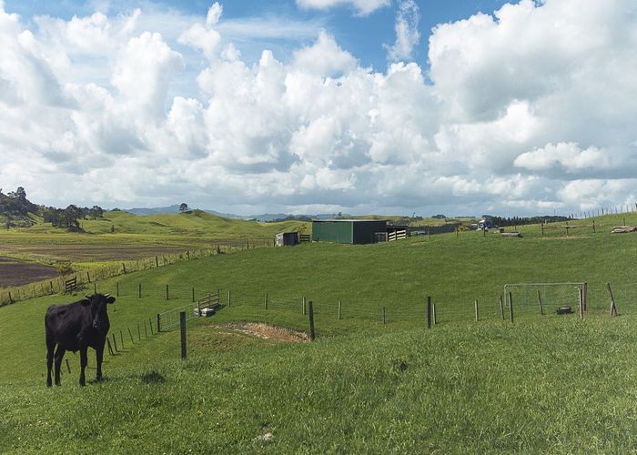  at 491 Morrison Road, Tuakau