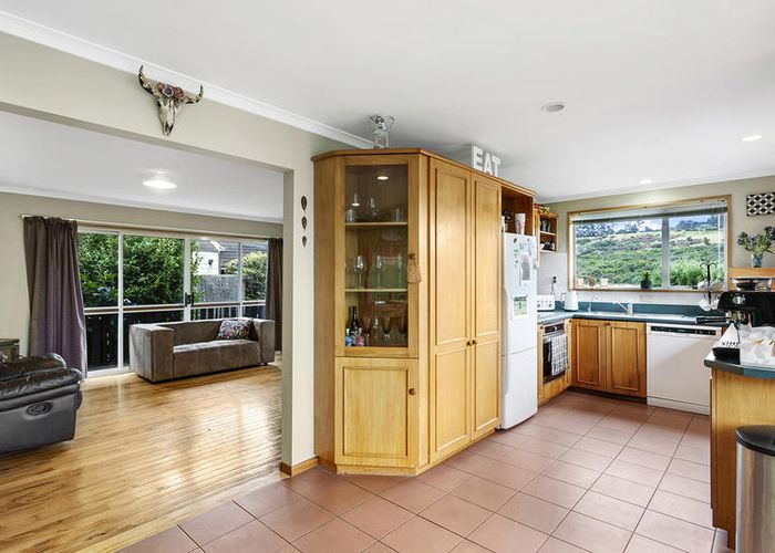  at 217 Dalziel Road, Brockville, Dunedin