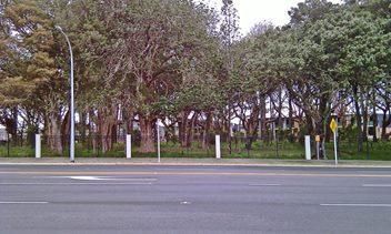  at 13/182 Flat Bush School Road, Flat Bush, Auckland