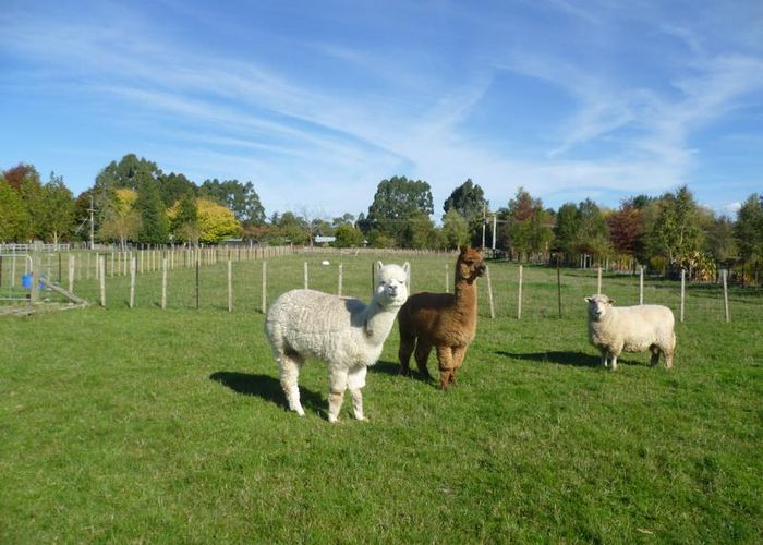  at 57 Southey Road, Masterton