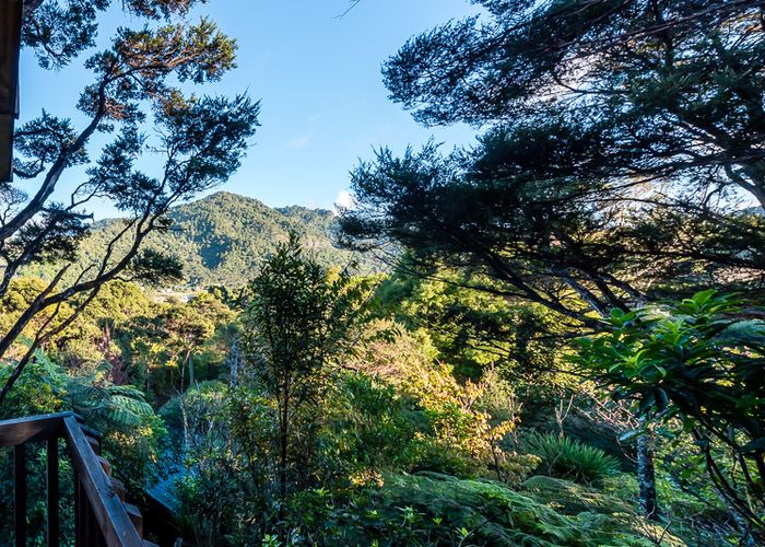  at 14 Kilgour Terrace, Huia, Auckland