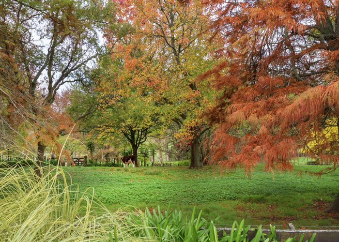  at 806 Waerenga Road, Waerenga