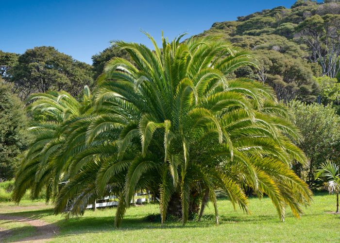 Free property data for 129 Carsons Road, Waiheke Island, Waiheke Island