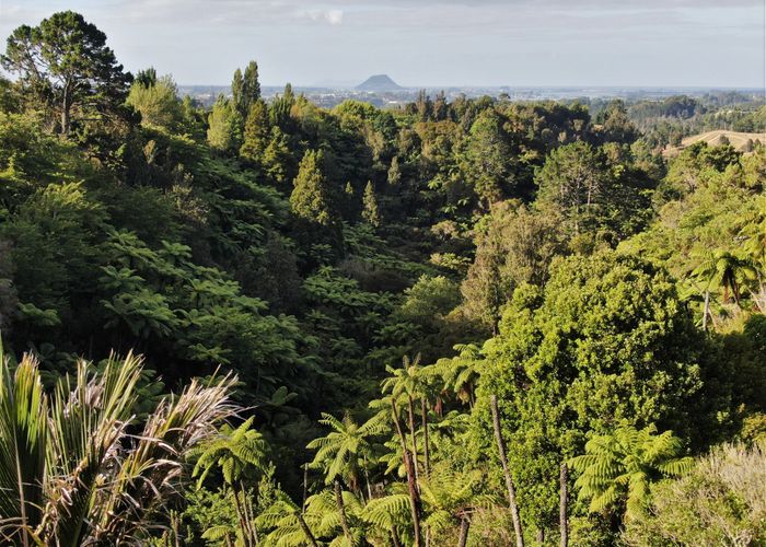  at 497 Joyce Road, Pyes Pa, Tauranga