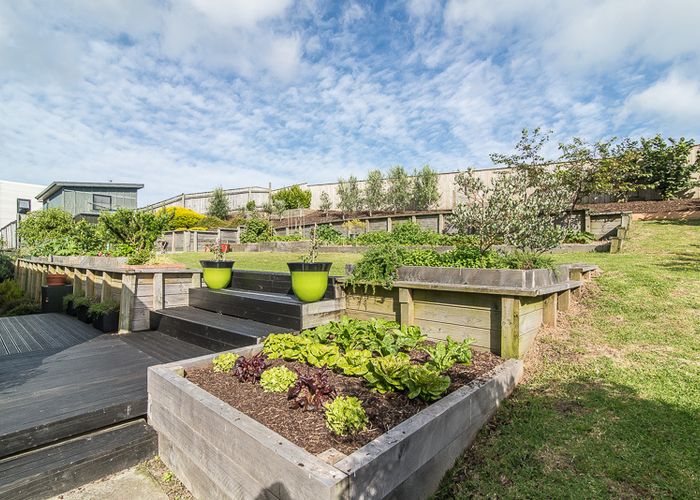  at 85 Queens Road, Waikanae Beach, Waikanae