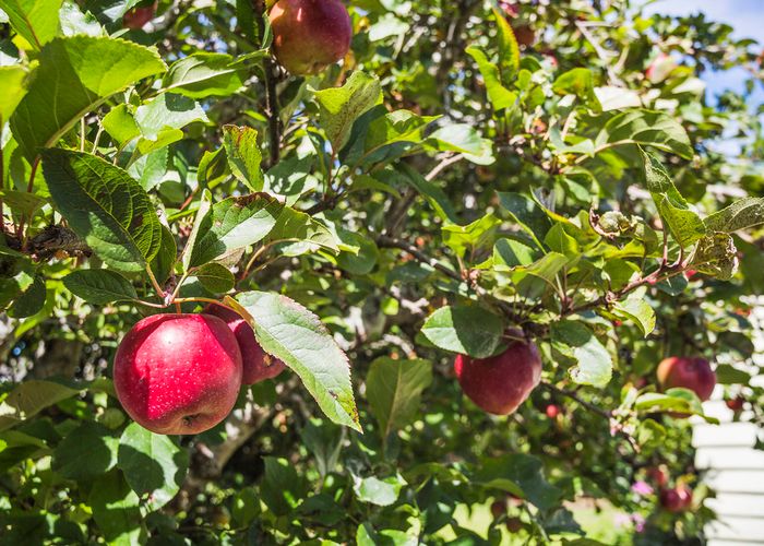  at 19 Macky Street, Taita, Lower Hutt