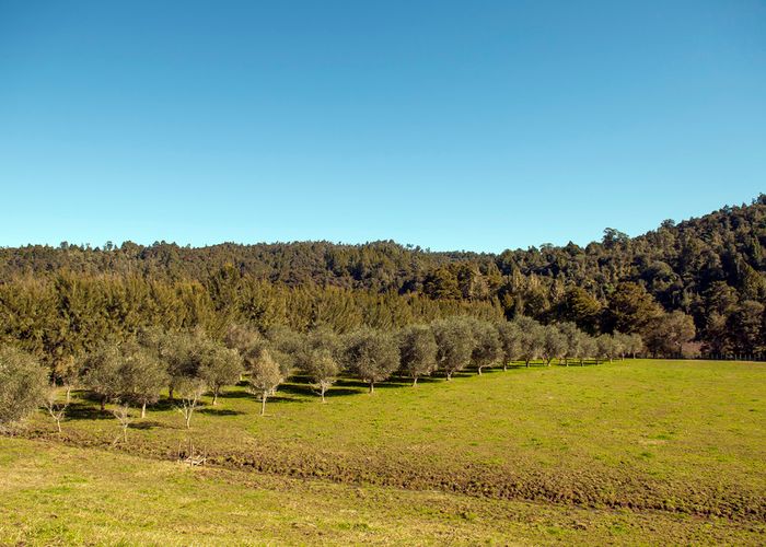  at 300 Rangihau Road, Coroglen