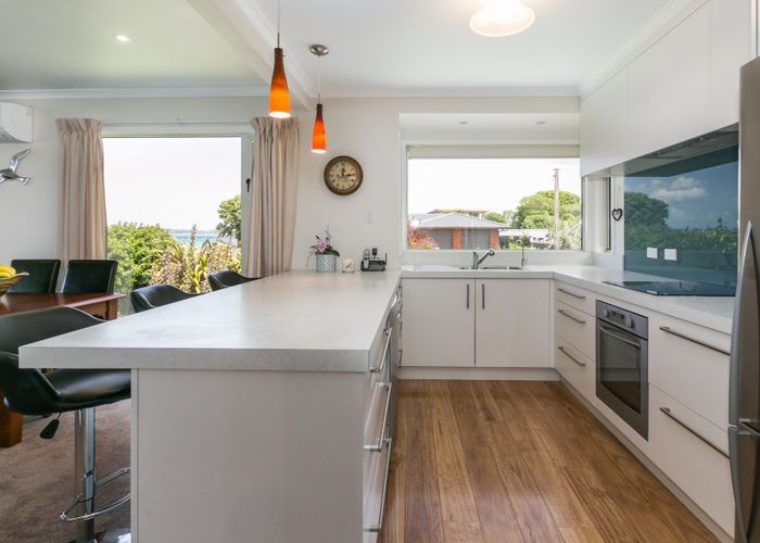  at 17 Fannin Street, Bay View, Napier