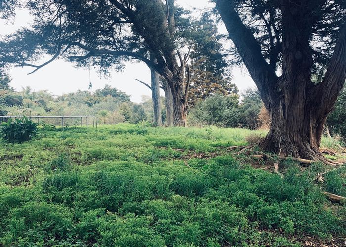  at 18 Tuakura Way, The Gardens, Auckland