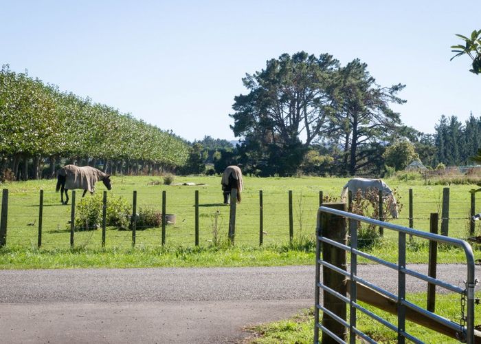  at 101 Campbell Road, Brunswick, Whanganui