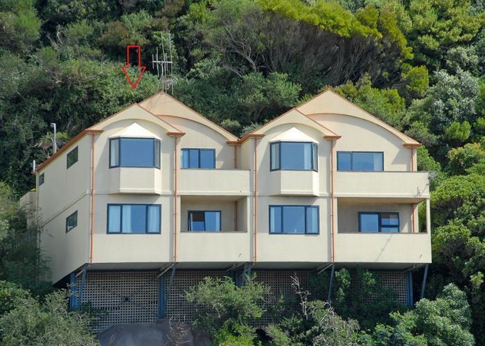 at 54 Sar Street, Pipitea, Wellington
