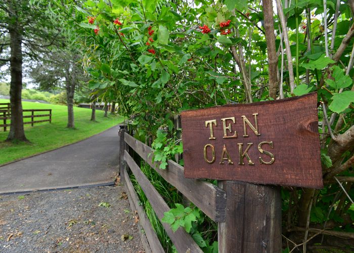 at 447 Ahuroa Road, Puhoi, Warkworth