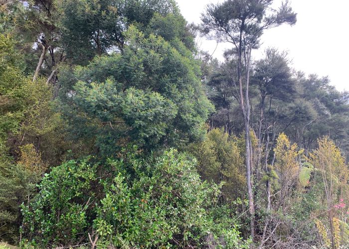  at 434 Pahi Road, Pahi, Paparoa