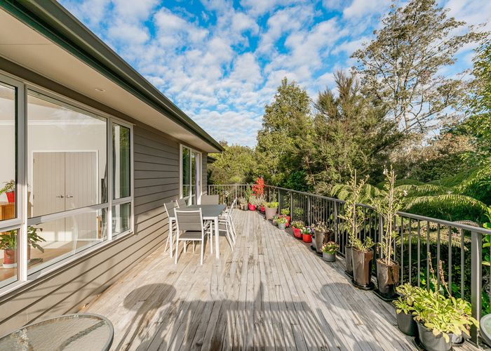  at 46 Hornbill Drive, Fairview Heights, Auckland