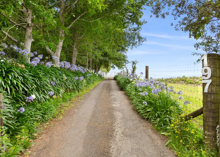  at 197 Ohinewai Road, OHINEWAI, HUNTLY