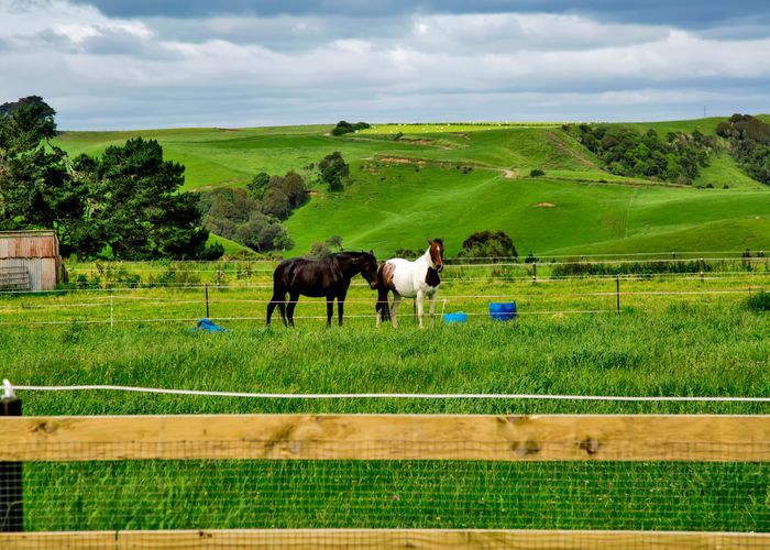  at 444 Fraser Road, Hawera
