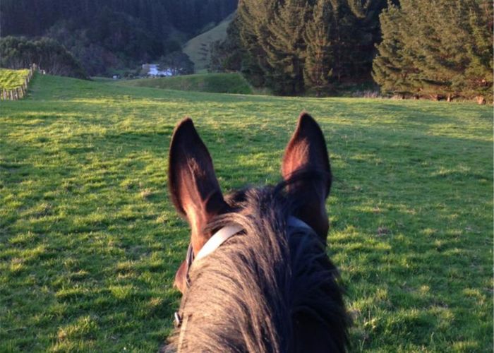  at 729 Moonshine Hill Road, Moonshine Valley, Porirua