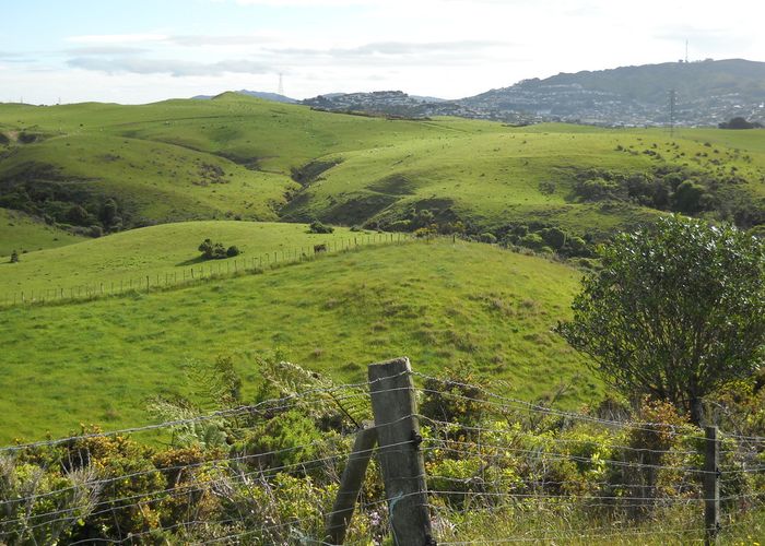  at 4 Van Der Velden Way, Horokiwi, Wellington