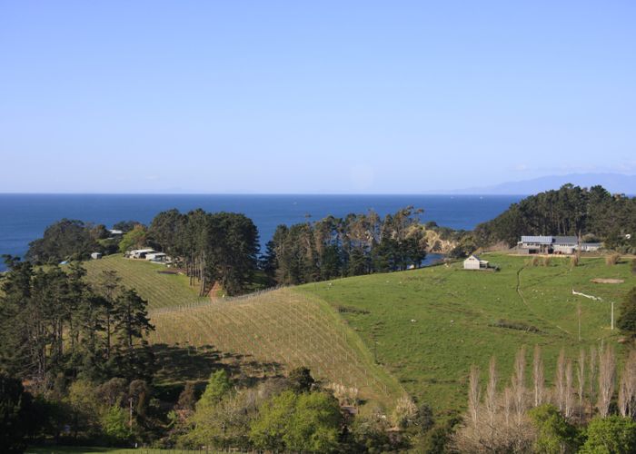  at 40 Tiri Road, Oneroa, Waiheke Island