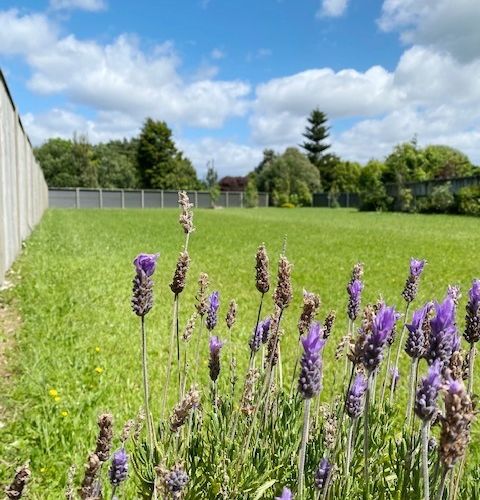  at 4 Ngaio Street, Levin