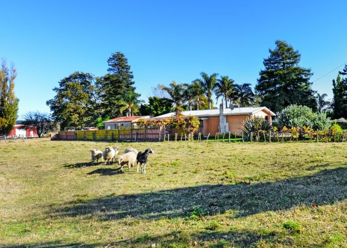  at 555 Main North Road, Bay View, Napier