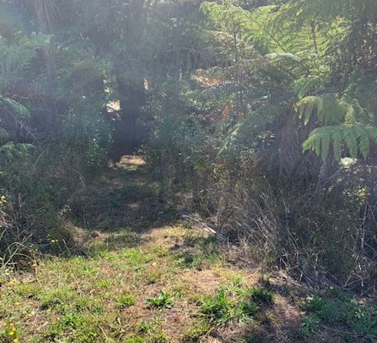  at 129 Bays Road, Ōrere Point