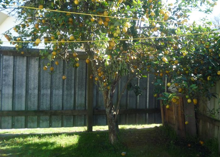at 27 Havelock Road, Ngaruawahia