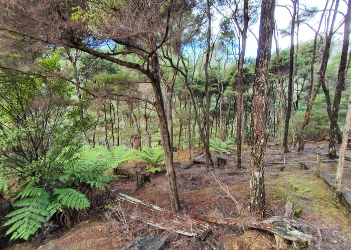 at 10 Lavinia Place, Kawau Island