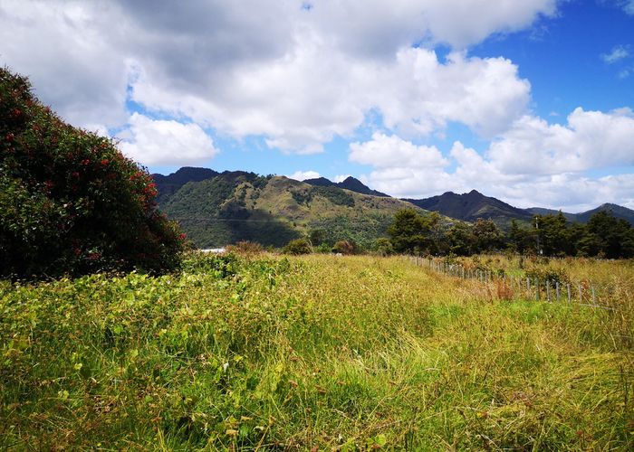  at 5 Opouteke Road, Whangarei