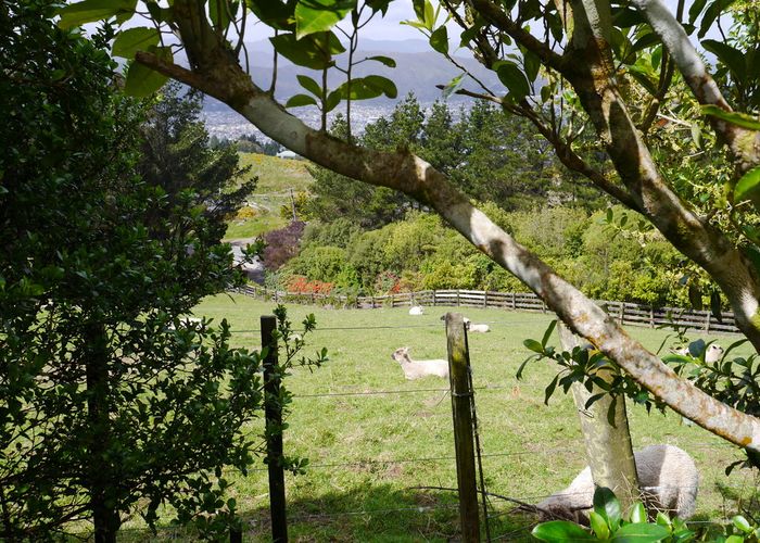  at 120 Sweetacres Drive, Belmont, Lower Hutt