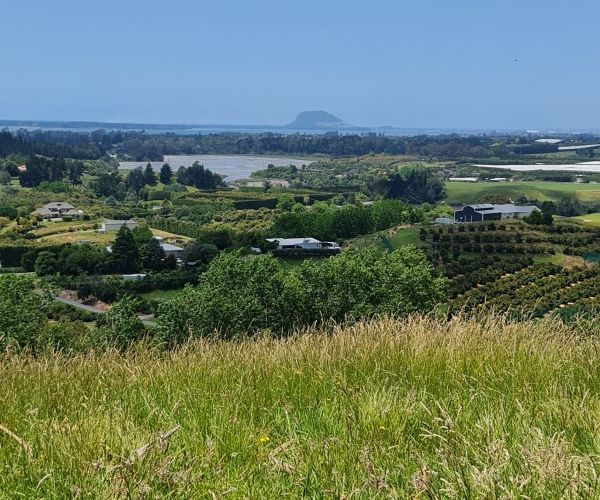  at 70 Whakamarama Road, Tauranga