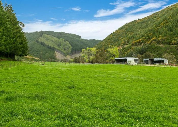  at 1005 Onamalutu Road, Onamalutu, Wairau Valley