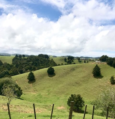  at 419 Kaiatea Road, Whangarei